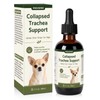 Trachea Cough Elixir, Collapsed Trachea Support for Dogs, Tracheal &