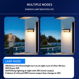 Dandray Outdoor Solar Wall Light, Solar&USB Charging Powered Lamps Dusk to Dawn Sensor with 2 Lighting Modes, Rechargeable IP54 Exterior Solar Porch Lights Patio Fence Outdoor Light Fixture