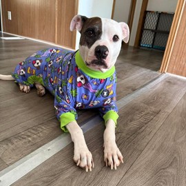 Pittie Clothing Pit Bull Dog Pajamas – Full Coverage Dog Onesie, Soft Pajama Outfit for Medium, Large, XL & XXL Breeds