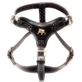 Extra Large Heavy Duty Leather Dog Harness with English Bulldog Badge only for Fully Grown English Bulldogs with 35kg up to 75kg (Brown, Silver Fittings)