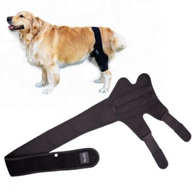 Rocky Rayz Dog Knee Brace for Torn ACL Hind or Front Leg - Luxating Patella, Hip Dysplasia Brace, Osteoarthritis Relief, Dog Leg Braces for Back Leg Support, with Built in Splint.…(Large)