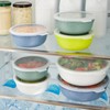 Rotho Tresa Bowl 0.35 L with Lid, Food-Grade Plastic (PP),