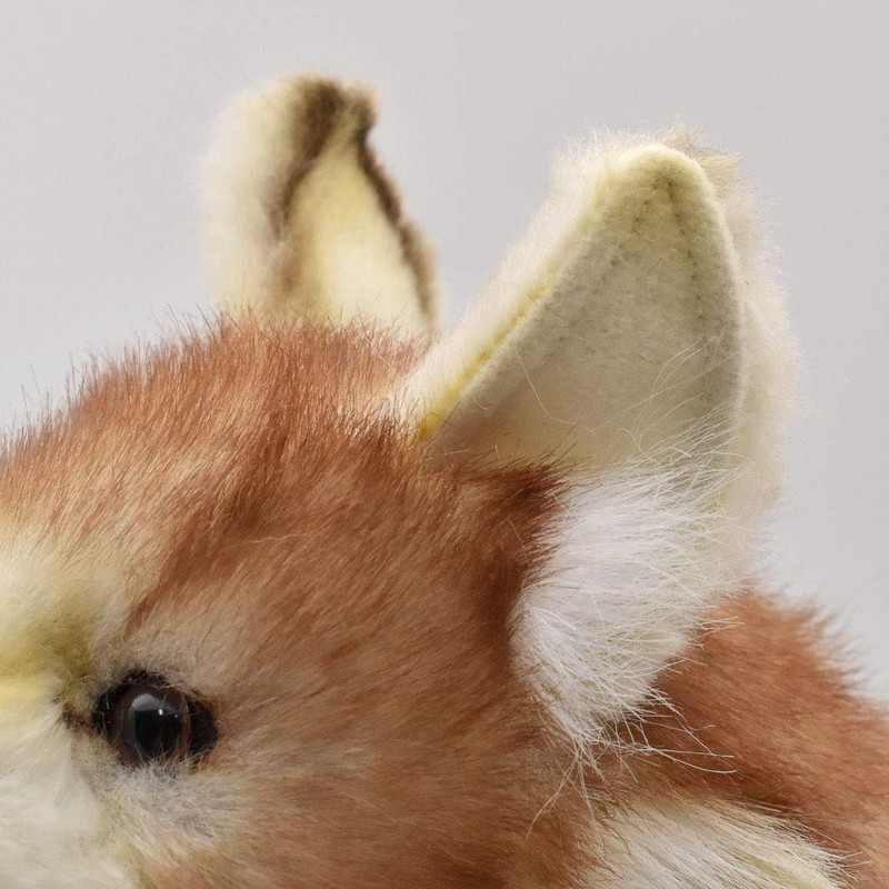 BH5207 HANSA Hansa Coyote 35 Real Animal Plush