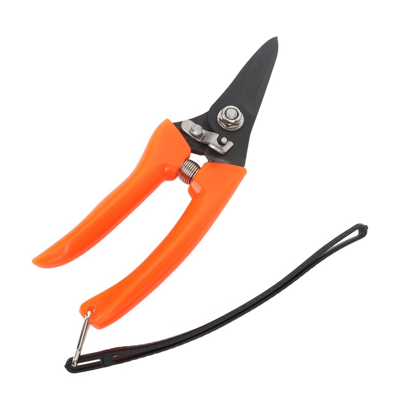 Hoof Shear Red Stainless Steel High Carbon Steel Multifunctional Hoof