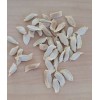pomelo 20 Pomelo Seeds Sweet Good Variety