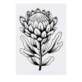 'Protea Flower' Temporary Tattoo - Water Resistant, Skin-Safe, Non-Toxic Transfer (TO00073411)