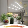 GooingTop Grow Light LED Gooseneck Lamp,Triple-Head Full Spectrum 222 LED