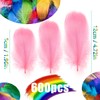 Mbsomnus Feathers for Crafting, 600 Pcs Pink Feathers Natural Craft