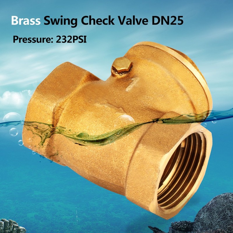 Check Valve 1 Inch DN25 Female Thread Brass Check Valves