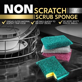 Esponja para exfoliar Splendid 10 unidades