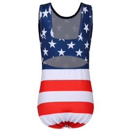 BAOHULU Gymnastics Leotards for Girls Red White Blue Stripes & Stars Kids Athletic Apperal Dance Outfit B382_RedBlueStripes_12A