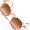 Belkut Fashionable Glasses, Unisex, Colored Lens, Sunglasses, Large, Small Face,