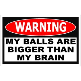 My Balls are Bigger Than My Brain Funny Warning Sticker Decal 4.25" X 2.75"