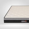 Springfit 8 Inch Mattress in a Box – Medium Plush