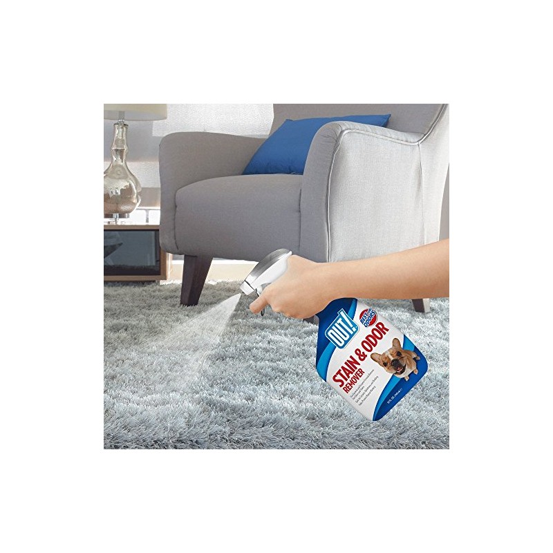 OUT! Pet Stain & Odor Remover, 32 oz, USA Made