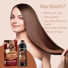 Light Brown Hair Dye Shampoo with Argan Oil, 3-in-1 Long-Lasting