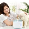 Pet Fountain Automatic Cat Water Fountain Dog Water Dispenser with