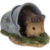 Real Life Hedgehog in Rusty Pail | Resin Home or