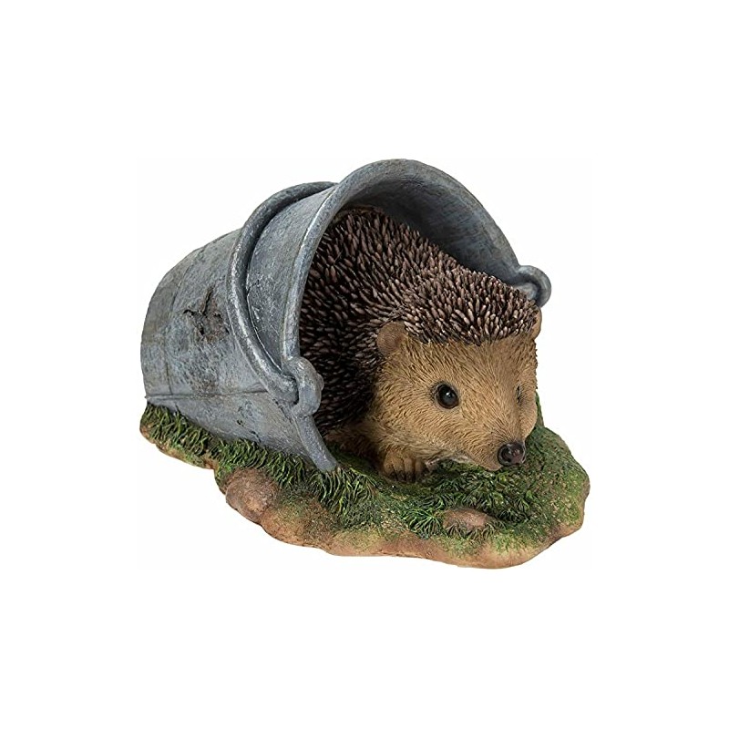 Real Life Hedgehog in Rusty Pail | Resin Home or