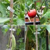 SANHIGHEND Plastic Plant Clips, Make Your Plants Tidy and Beautiful