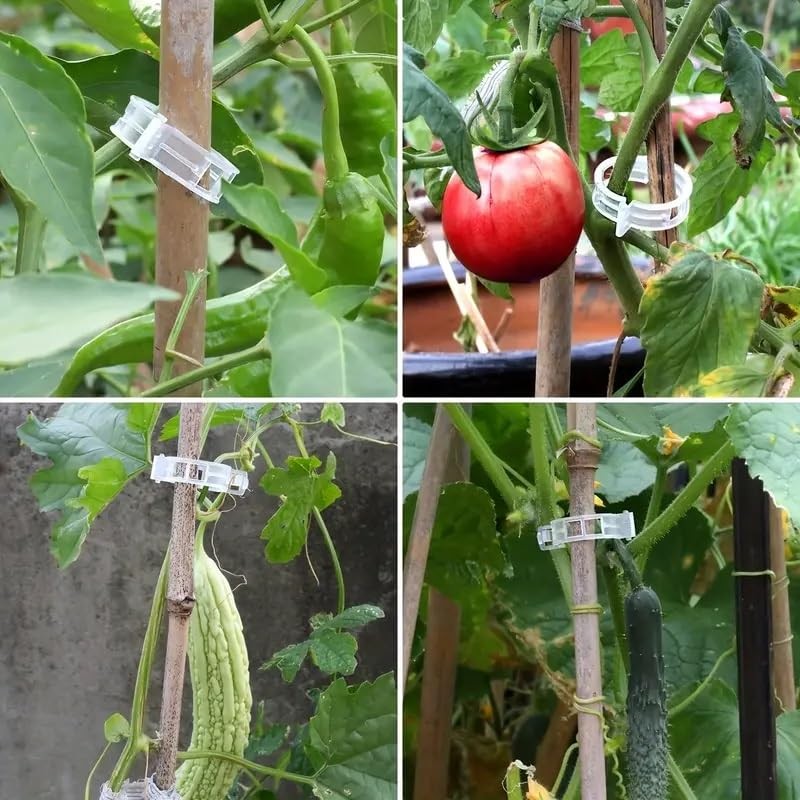 SANHIGHEND Plastic Plant Clips, Make Your Plants Tidy and Beautiful