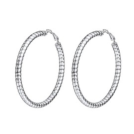 Prosteel Women's Creole Earrings Stainless Steel / 18 K Gold Plated Huggie Hoop Folding Hoop Earrings for Women Girls 25/30/40/60/70/80 mm Large Circle Earrings Accessory, Stainless Steel