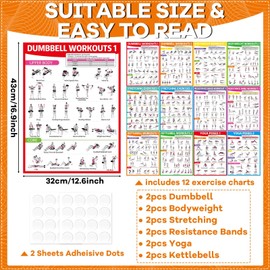 gisgfim 12PCS Workout Posters for Home Gym Dumbbells, Bodyweight, Stretching, Resistance Bands, Yoga, Kettlebells Exercise Chart Full Body Workout Poster Set Muscle Engagement Chart Garage Gym Decor