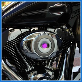 VekAuto 1 Set Screw Cap Motorcycle Motorbike Screw Nut Bolt Cap Cover Decoration for Kawasaki for Honda Purple Auto Accessories