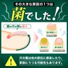 【指定医薬部外品】reglear 爪消毒ジェル 薬用消毒ジェル 爪ケア 足 爪 クリーム ケア 18ml 約1ヵ月分
