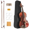 4/4 Violin for Beginners, Acoustic Full Size Starter Kit for