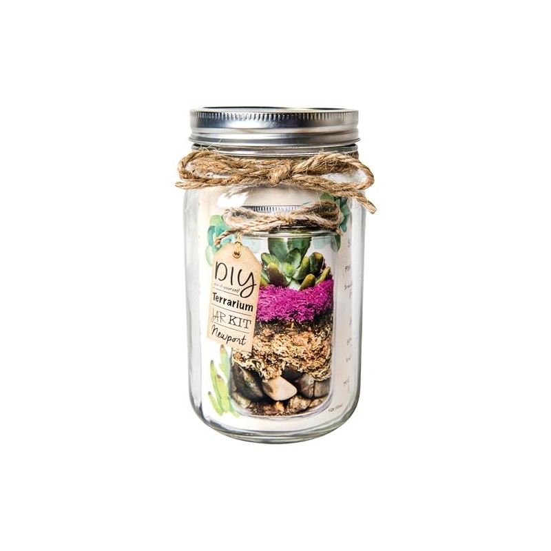 SuperMoss (90412) Terrarium Jar DIY Kit – Build Your Own