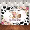 West Cowgirl Theme Birthday Party Background This is My First