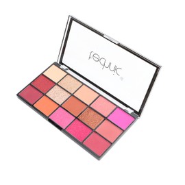 Technique Eye Shadow Palette (15 Colors) Hot Love