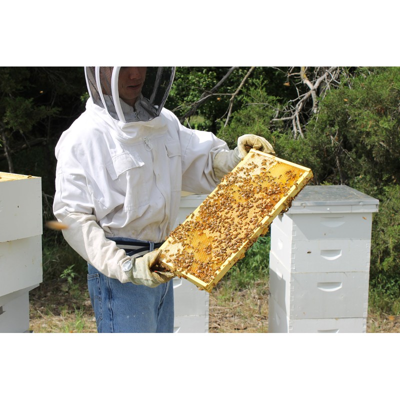 Raw Honey Pure Natural Nebraska Honey One 5lb Jug