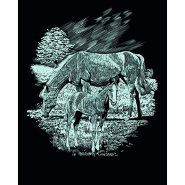 Mammut nbsp;– Scraper Set of 3