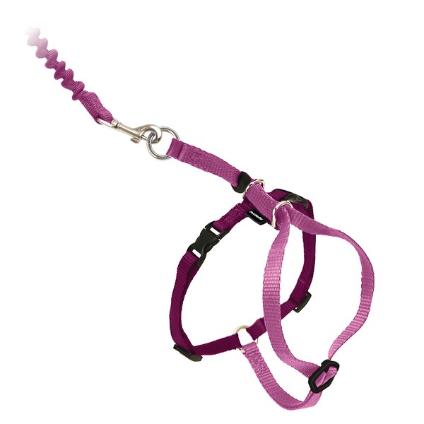 PetSafe Come With Me Kitty Harness and Bungee Leash, Harness