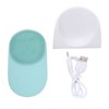 2 in 1 Electric Face Cleansing Brush Silicone Sonic Vibration