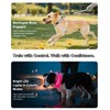 PZRLit Light-Up Martingale Collar for Dogs Multi-Color, No Pull Adjustable