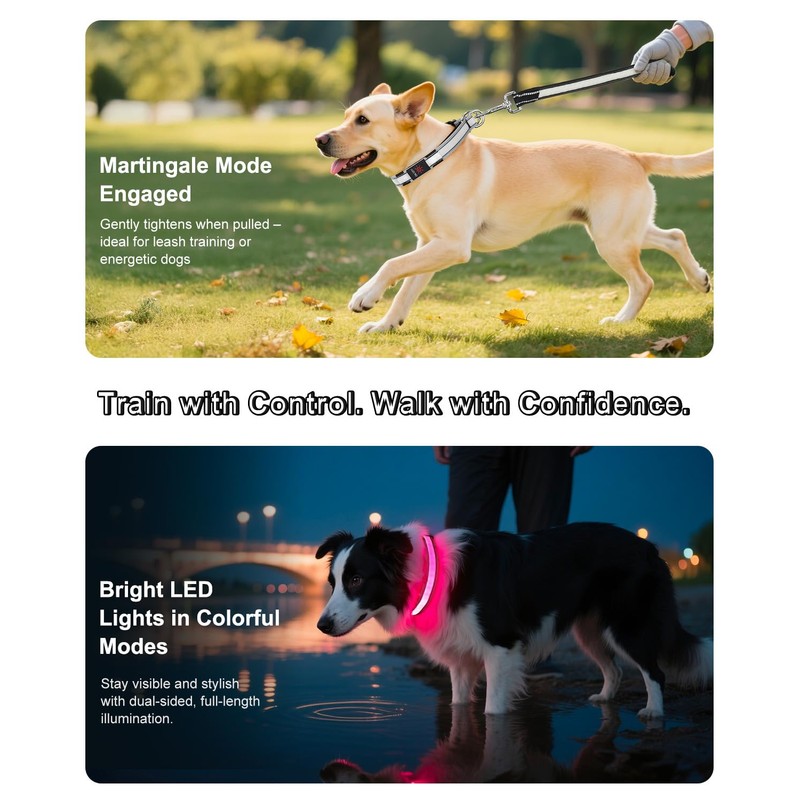 PZRLit Light-Up Martingale Collar for Dogs Multi-Color, No Pull Adjustable