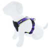 Pawtitas Pet Training Adjustable Reflective Padded Puppy Dog Harness Step