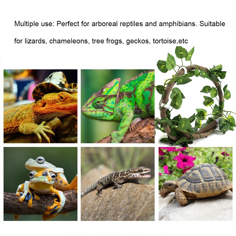 Reptile Climbing Branch Flexible Jungle 3.28ft Rattan 1Pc Vine(3.28ft Rattan+Scindapsus