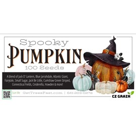 Spooky Blend Pumpkin Seeds for Planting (100 Mixed Seeds)