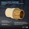 Supply Giant CSDQN336 Male x CPVC Adapter Transition Pipe Fitting