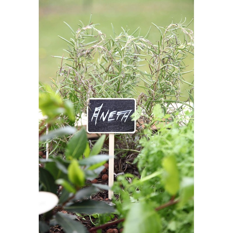 The Cordeline CJNBA1 Pack of 5 Plant Labels 3.0 x