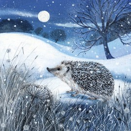 Museums & Galleries Box of 20 Artistic Charity Christmas Cards - 'Snowy Animals' - 5 Cards Each of 4 Illustrative Designs - Festive Hedgehog, Hare, Owl and Mouse, Multicolor, 123 x 123 mm