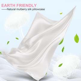 Mulberry Silk Pillow Cases 2 Pack Standard Size 20x26 Inches with Hidden Zipper, Ultra Smooth and Soft Breathable Cooling Silk Satin Pillowcase Set of 2, Better for Hair and Skin, Gifts for Women Men