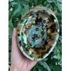 Abalone Shell, Seashell Incense Burner, Smudge Bowl for Holding Smudge