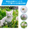 LCL Canon GI-390 GI-390C GI-390M GI-390Y (3 Pack Cyan Magenta