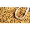 Laxmi Traditional Indian Spices - Methi Seeds (Fenugreek Seeds), 14oz