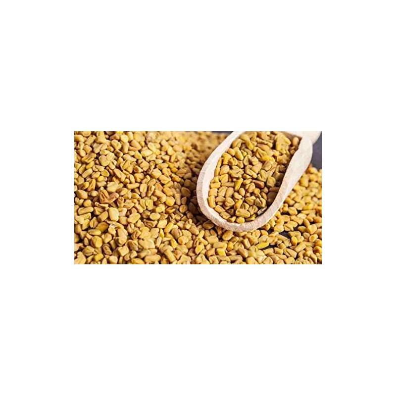 Laxmi Traditional Indian Spices - Methi Seeds (Fenugreek Seeds), 14oz